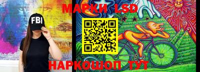гашик Шебекино