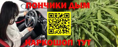 гашик Шебекино