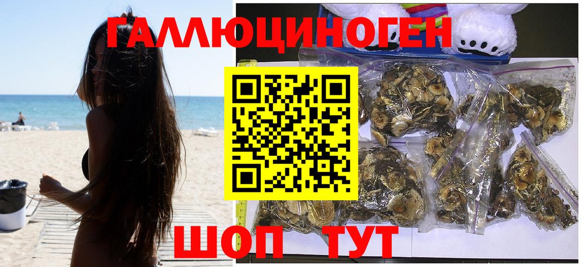 Галлюциногенные грибы Cubensis Новоалтайск
