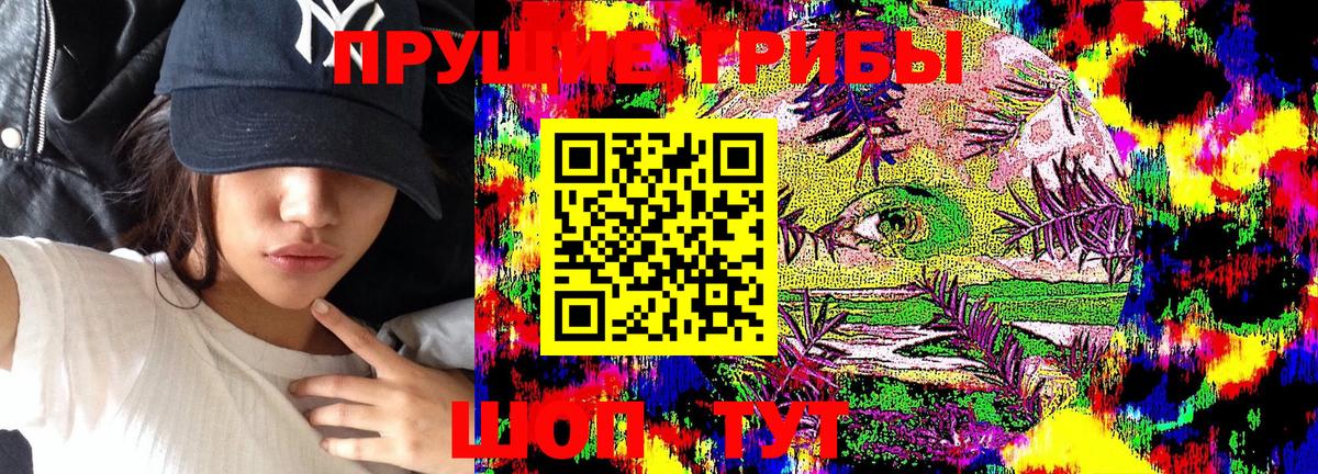 Галлюциногенные грибы MAGIC MUSHROOMS  Галлюциногенные грибы GOLDEN TEACHER  Новоалтайск  Вход с VPN 